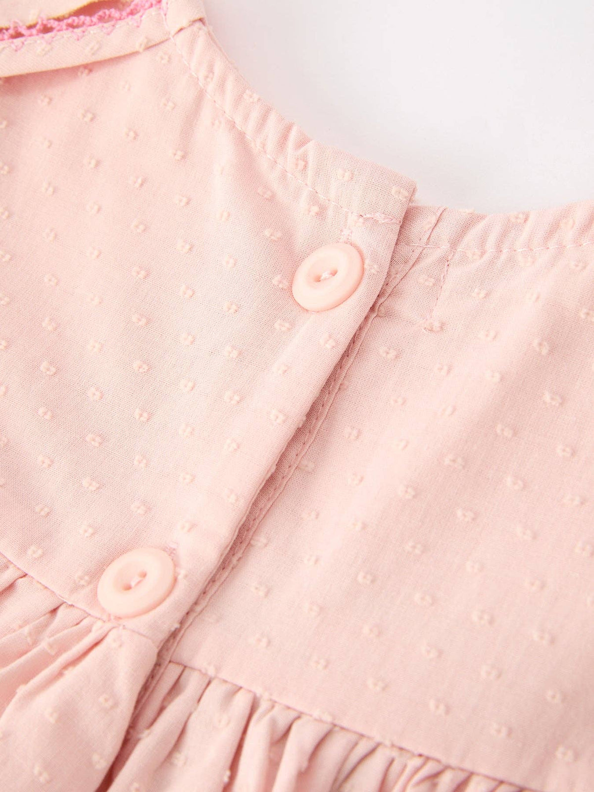 Fall Pink Floral Embroidered Peter Pan Collar Dress